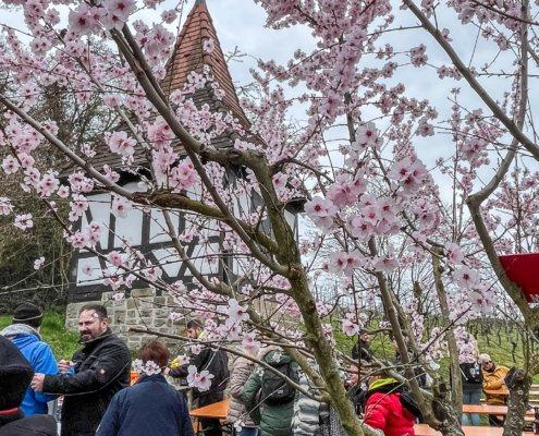 006 2026 03 15 MAG Wintergrillen 012